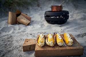 Cocine con la Aduro Fire Ball